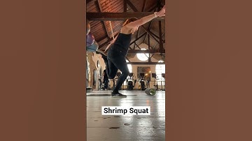 How to do the Shrimp Squat #shorts