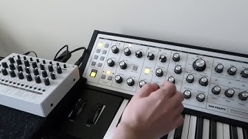 MFB Tanzmaus & Moog Sub Phatty