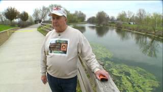 Towpath Trail bridge arson