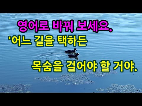 '어느 길을 택하든 너는 목숨을 걸어야 할 거야.' 복합 관계 형용사 whatever, whichever, whosever