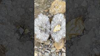 Hidden Treasure Inside an Ordinary Stone!