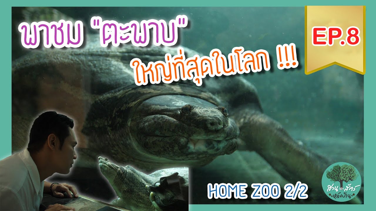 สวนสัตว์หลังบ้าน EP.08 