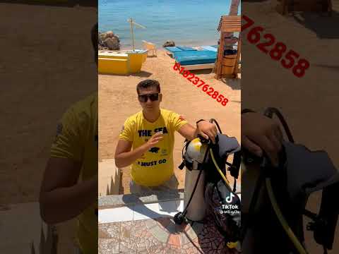 متوفي لشغل في شرم الشيخ وشباب التواصل مع مستر حسن سليمان فون واتس متاح شغل 