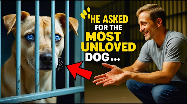 Man Wanted the Shelter’s Most Unloved Dog — Here's Who They Gave Him!