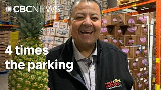 Freestone Produce expands in Calgary again — with more parking