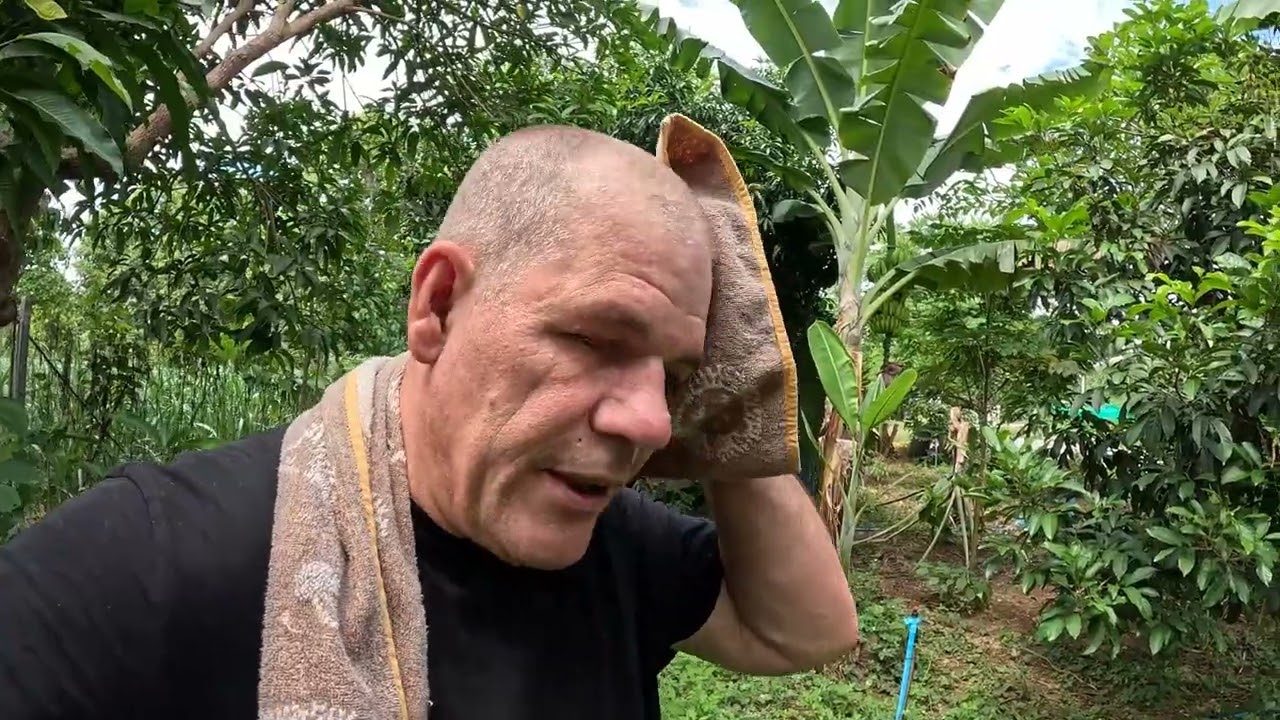 Abschied von der Farm 🌴💚 – Mein letzter Tag, reiche Ernte & neue Perspektiven