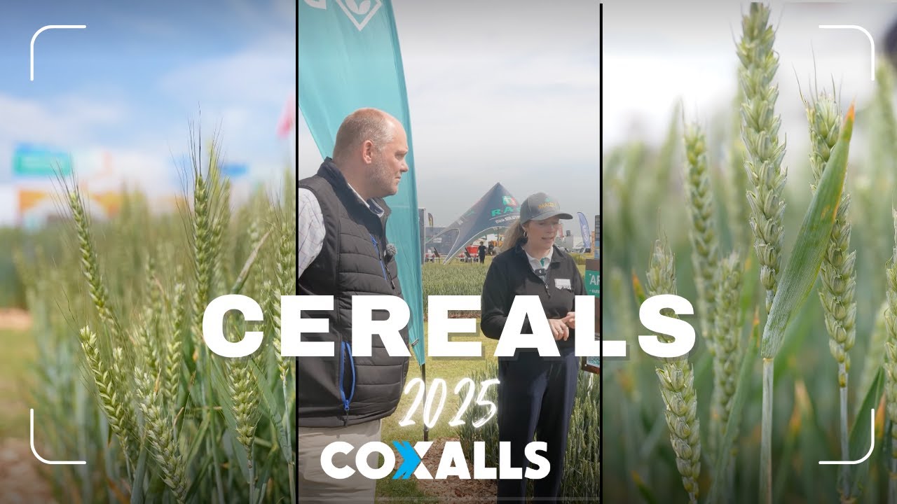 Game-Changing Wheat Varieties at Cereals 2025! Is this the future of Aphid control?