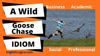 A Wild Goose Chase - Idiom | Business English Vocabulary & Everyday English