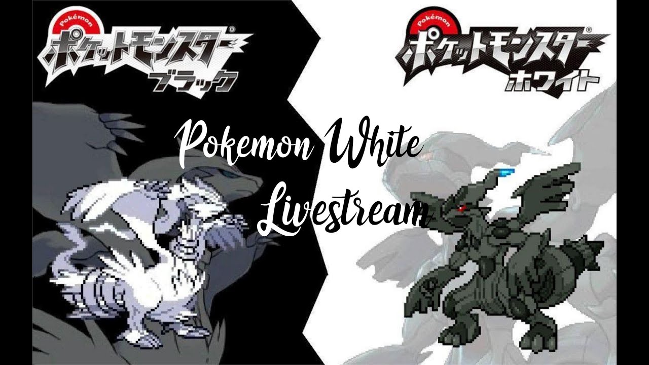 Pokemon White Randomizer Live Stream | Stream "#1"