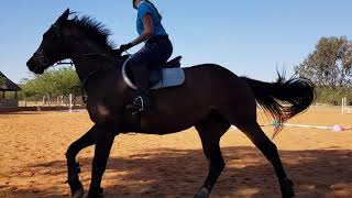 My Horse Riding Evolution Part 9