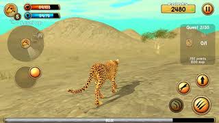 wild cheetah simulator game play screenshot 5