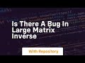 is there a bug in large matrix inverse