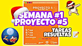 SEMANA 28 - PROYECTO 5 #Semana1 Todas las ACTIVIDADES 👨👩‍🏫 (5TO, 6TO, 7MO AÑO )🎬🏡 #BasicaMedia