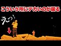 メバルを狙った夜、足元で“何か”が起きている…