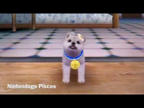SCARICARE NINTENDOGS