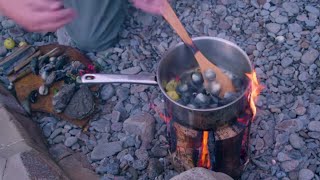 Coastal Foraging With Craig Evans Mini Series Part 3 Cooking Our Finds On The Beach