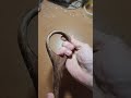 Large Whisks Available