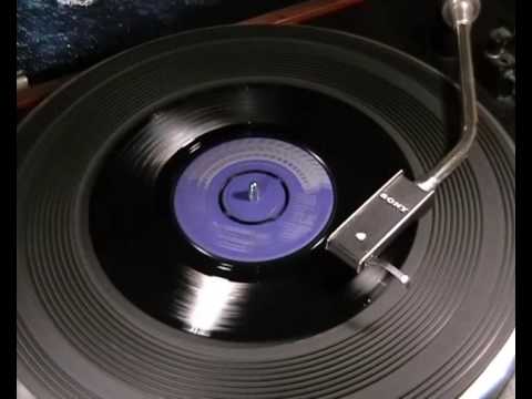 The Settlers — Follyfoot TV Theme - 'The Lightning Tree' - The SETTLERS - 1971 45rpm