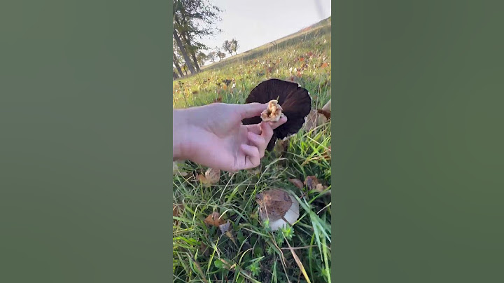 Всю жизнь думал что нельзя их есть😱😱