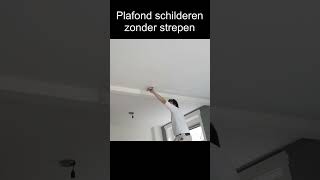 Nooit Meer Strepen In Je Plafond.