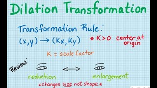 Celebrity Dilation Transformation Wealth