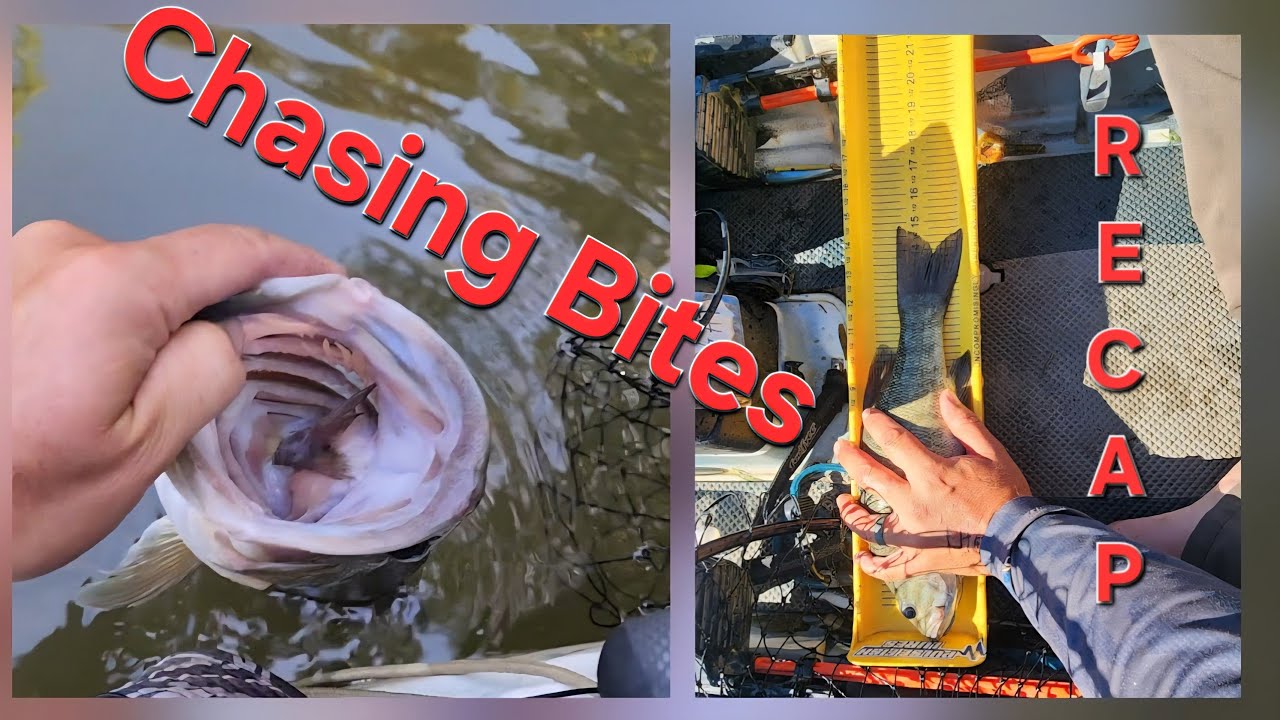 The Grind for Glory | TN Bass Nation Kayak Series State Championship on Fort Loudoun Lake