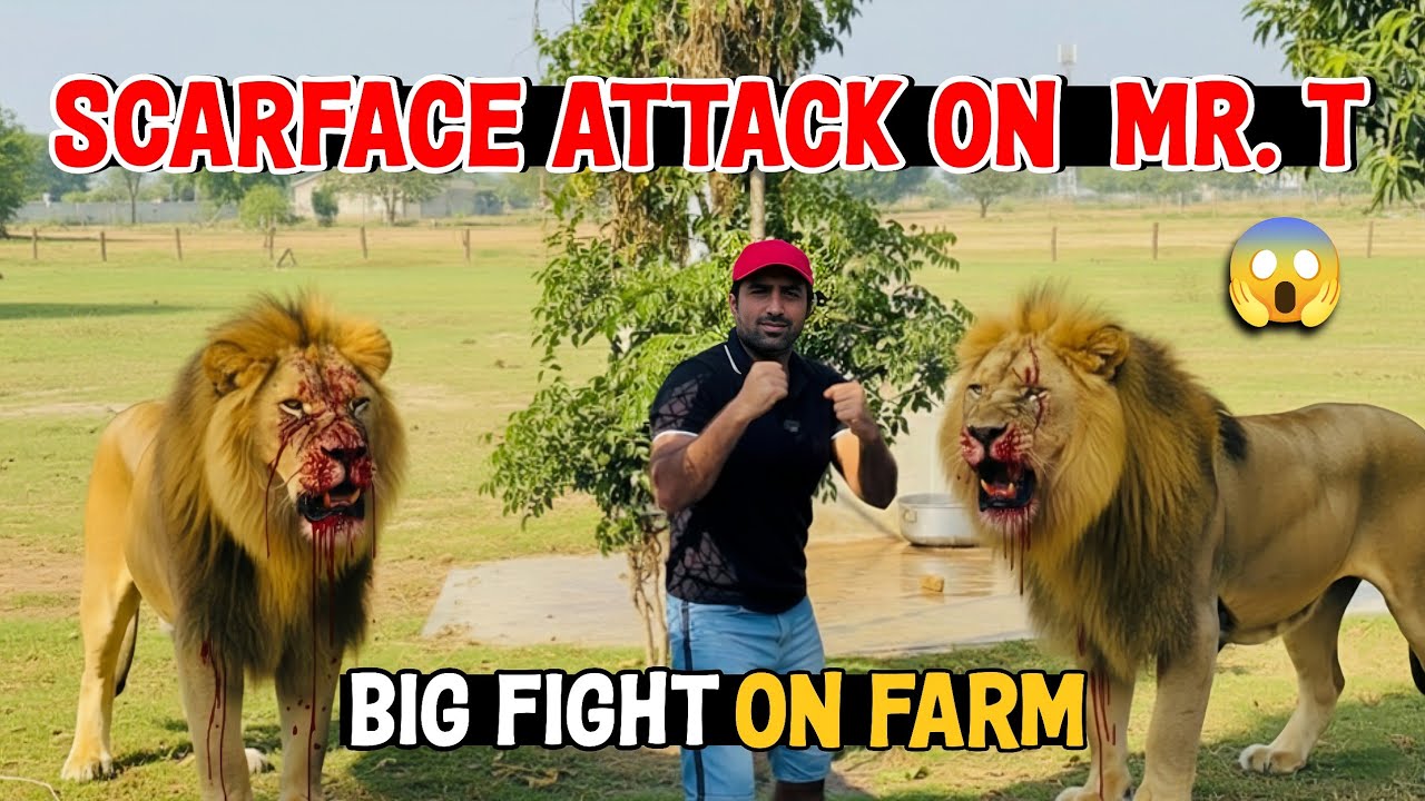Scarface Ne Mr T Par Achanak Hamla Kar Diya! 😱🔥 Aaj Farm Per Kya Ho Gaya?