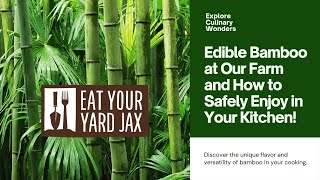 Explore Culinary Wonders Edible Bamboo At Our Farm And How To Safely Enjoy In Your Kitchen