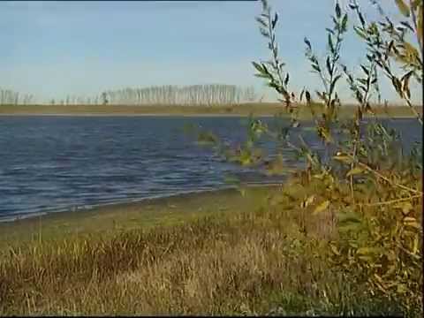 Рыбак Рыбаку 053 "Организация рыбного хозяйства".
