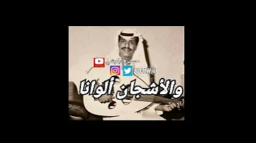 جمال الراشد كان مشروع فنان عظيم 