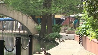 Leaders discuss changes to 'Stay Home, Work Safe' orders in Bexar County, San Antonio