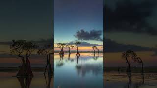 Welcome to Sumba, Indonesia ?? | Two Red Tabs: Your Perfect Companion to Explore Beyond ?