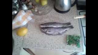 Видео Рашка-парашка. Почему это так, и вы не докажите обратное. (автор: Пицот тысяч котов представляют)