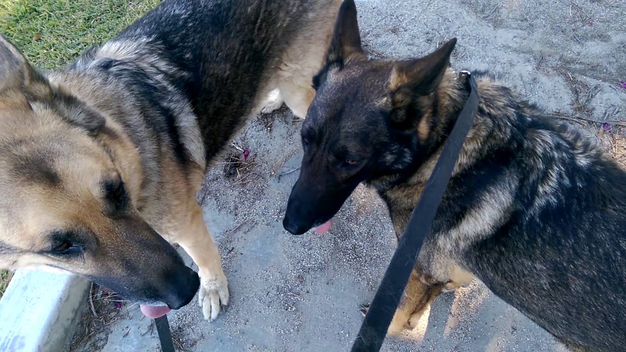 Legg Lake Park 12 26 15 YouTube legg-lake-park-12-26-15-youtube