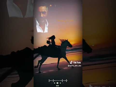 فضل شاكر بياع القلوب