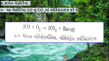 CC BOT 101(Lec 37 Part 2)TBP