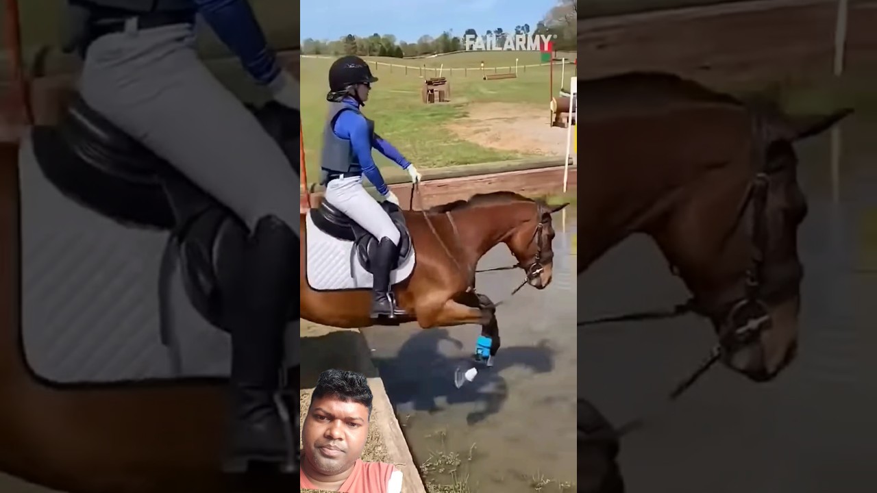 amazing horse riding 