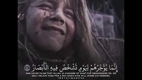 سورة إبراهيم بصوت عبدالرحمن مسعد