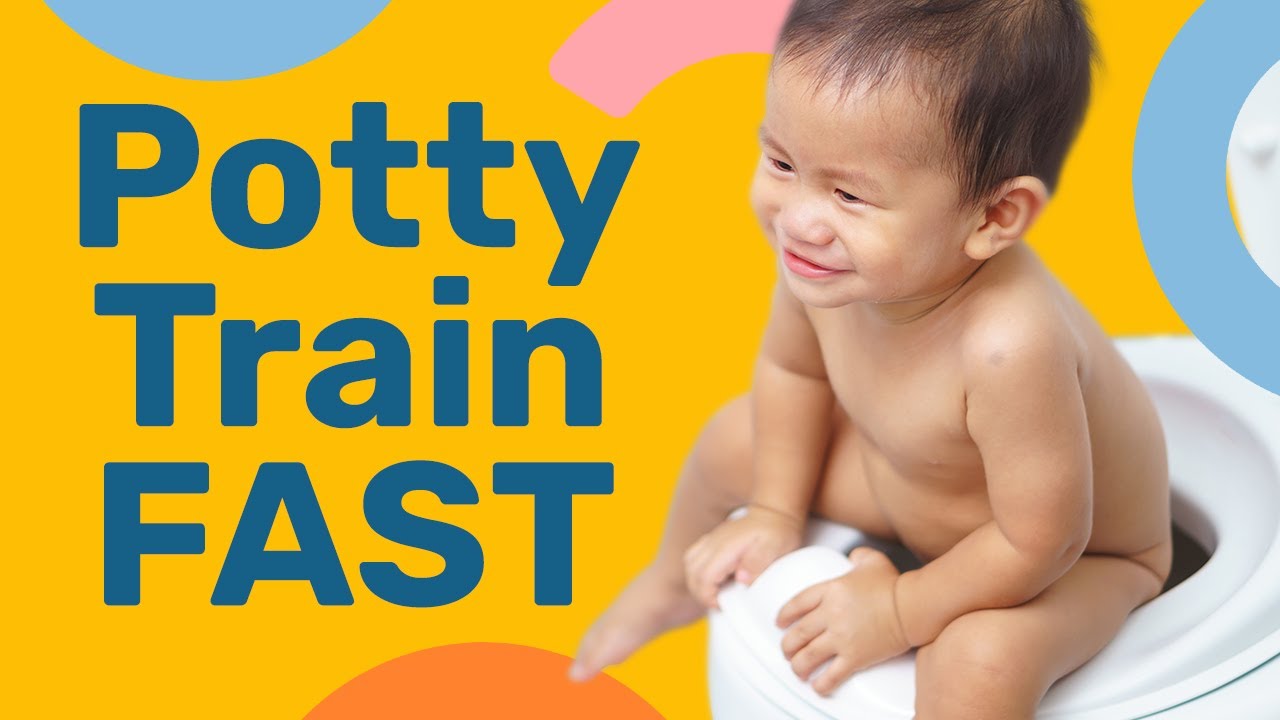 Potty training your toddler: when to start and what to expect!