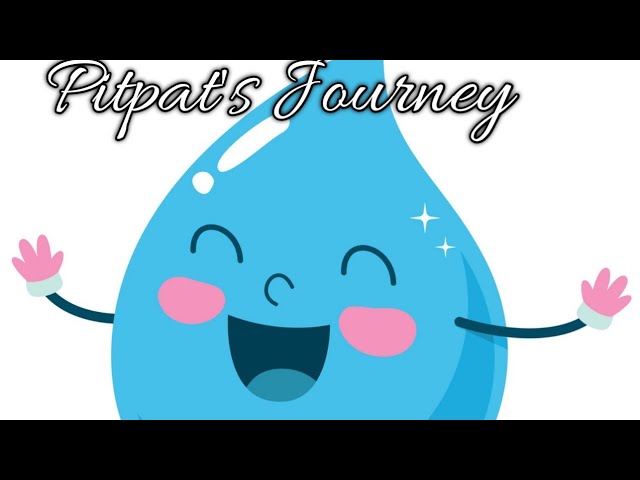 Pitpat's Journey - YouTube