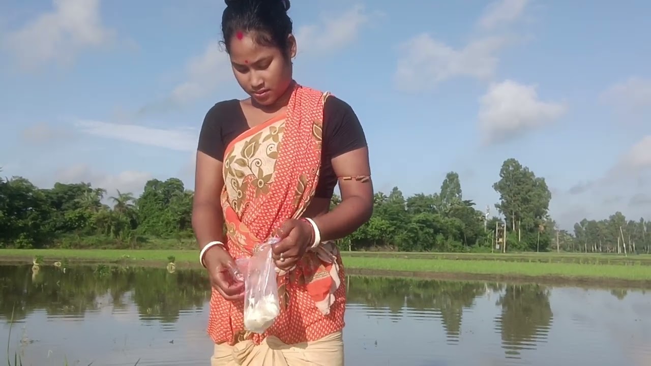 Dhan ropon korte giye chilam