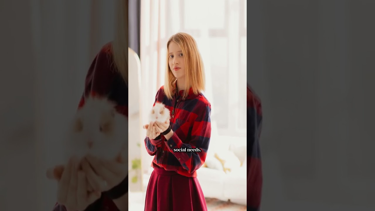 Why Guinea Pigs Are Illegal in Switzerland