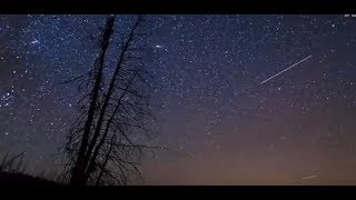 2016 trailer