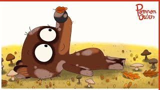 Tout Beau Tout Propre Pompon Ours Episode Complet