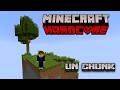 Me PASO MINECRAFT en UN CHUNK (HARDCORE)