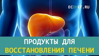 Продукты для восстановления печени | ECONET.RU