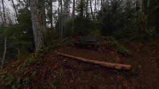 Gloomy Forest Walk in the Rain - 1 Hour POV Virtual Hike with Natural Sounds (No Music)
