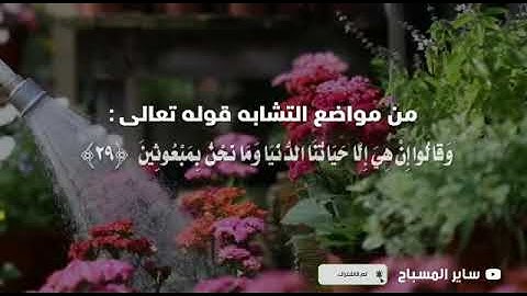 ضبط الآيات المتشابهات (إن هي ، ماهي )