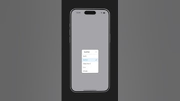Custom DropDown Menu with SwiftUI
