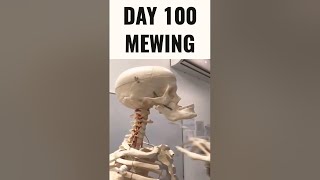 BYE BYE - Cuphead Mewing